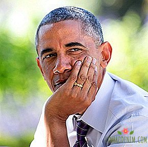 Kinek feliratkozhat: Barack Obama személyes blogja