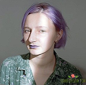 À qui souscrire: Portraits et interviews LGBTQ + de Russie