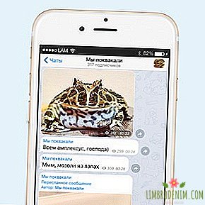 Komu se naročite: Telegram velikan žaba "Mi pokkakali"