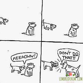 لمن اشترك: كاريكاتير مضحك عن حياة الكلاب وأصحابها