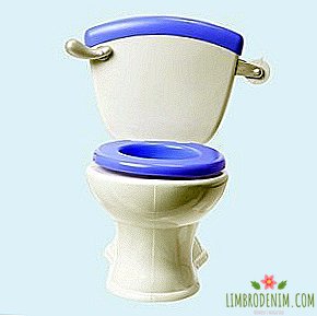 The Untouchable: Bisakah Saya Duduk di Toilet Umum?