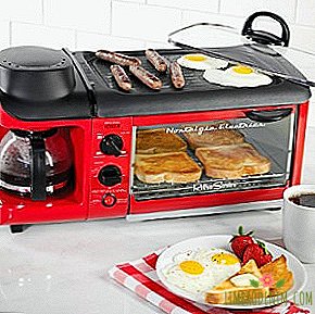 Üçte bir: Ekmek kızartma makinesi, ocak ve kahve makinesi Mükemmel kahvaltılar için Nostalji