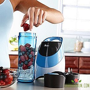 Oster Blend-N-Go Blender with a sports bottle instead of a bowl