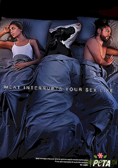In the new PETA campaign, animals prevent people from having sex