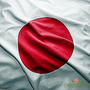 لماذا في اليابان ترفض ممارسة الجنس التقليدي