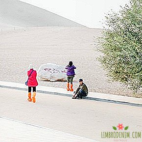 "De wereld ontdekken": toeristen in de Chinese woestijn