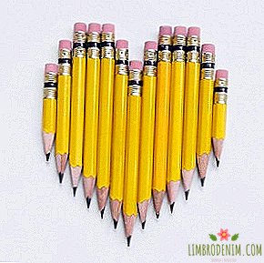 Komu sa chcete prihlásiť: Obrázky z ceruziek a notebookov Súčasnosť & Správne