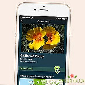 Qué descargar: Seek - Aplicación Shazam para animales y plantas