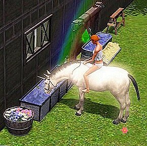 Як юні фанатки The Sims уявляють собі доросле життя