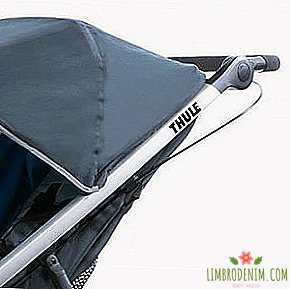 Thule Glide baby stroller