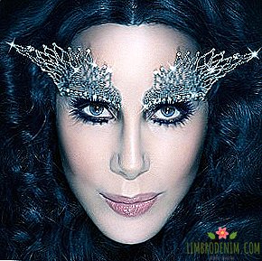 Přihlásit se k odběru Twitter: Singer Cher
