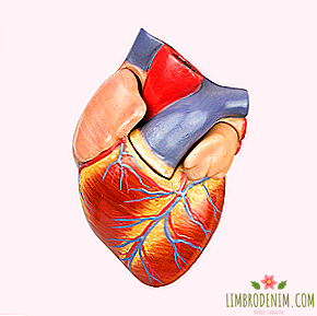 Poissa kantapäät: Miten hoitaa sydäntä