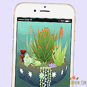 Ce qu'il faut télécharger: Viridi Virtual Mini Succulents Garden