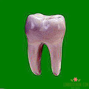 Question à l'expert: Les dents ont-elles besoin de calcium?