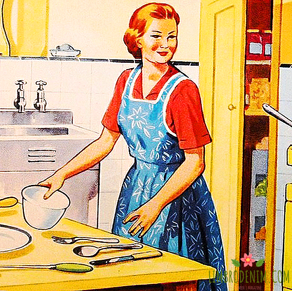 Femme domestique: pourquoi au XXIe siècle n'a pas honte d'être une femme au foyer
