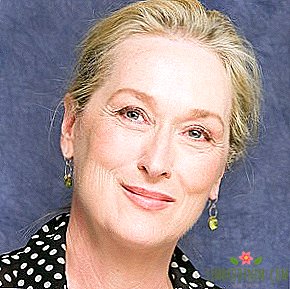 Dzīvais piemineklis: Kāpēc pretenzijas Meryl Streep - Kļūda