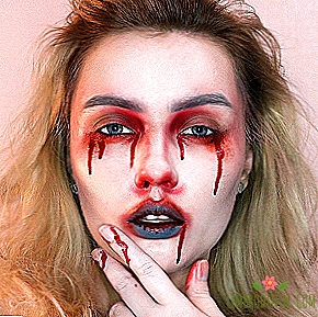 Une version terrible de vous: les blogueurs montrent maquillage pour Halloween